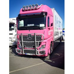 TRUX Frontbeskytter for Mercedes ACTROS 