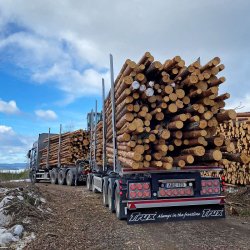 TRUX original Skvettlapp