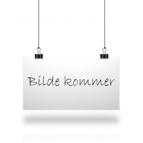 Trux takbyle for ACTROS og AROCS