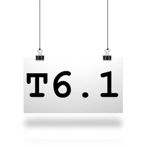 T6.1